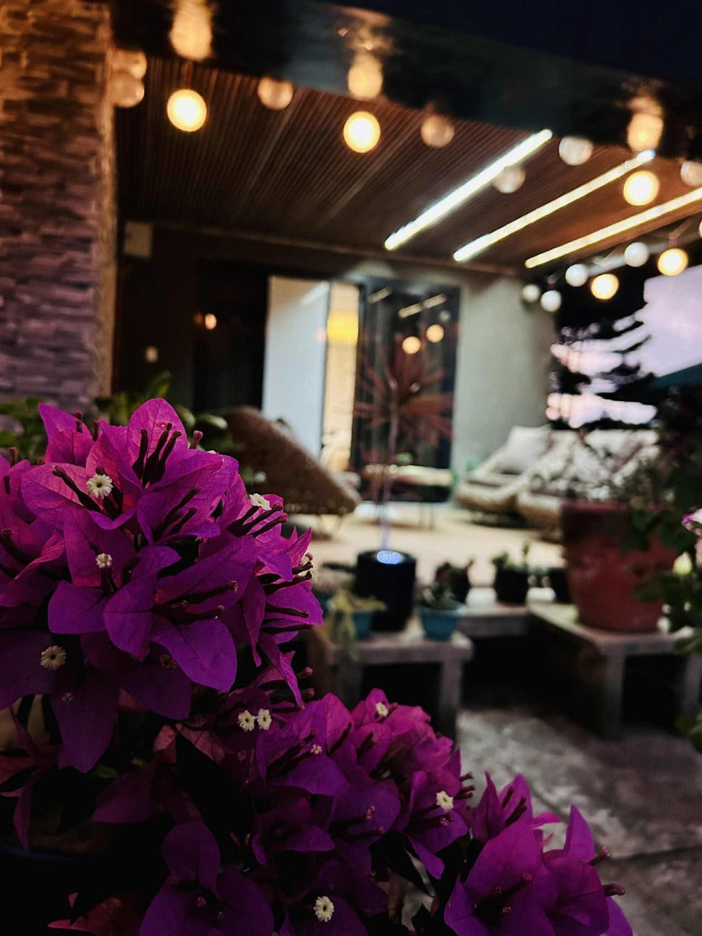 Simonette's Place Transient House